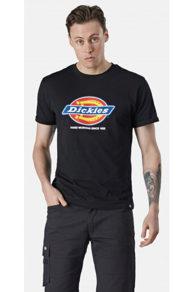 T-shirt DENISON homme (DT6010)